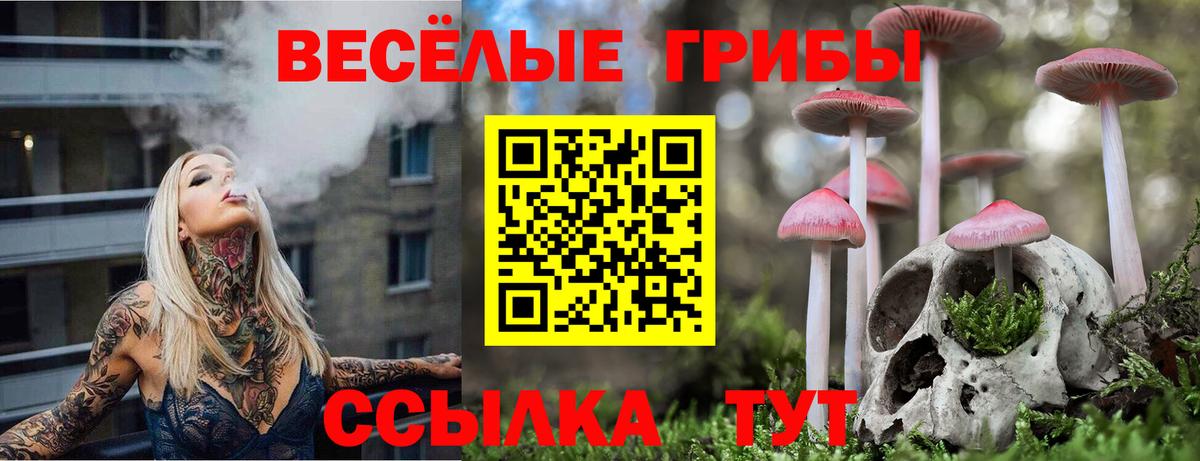 Каменск-Шахтинский  Псилоцибиновые грибы мицелий  закладка  Псилоцибиновые грибы мухоморы  Вход с VPN 